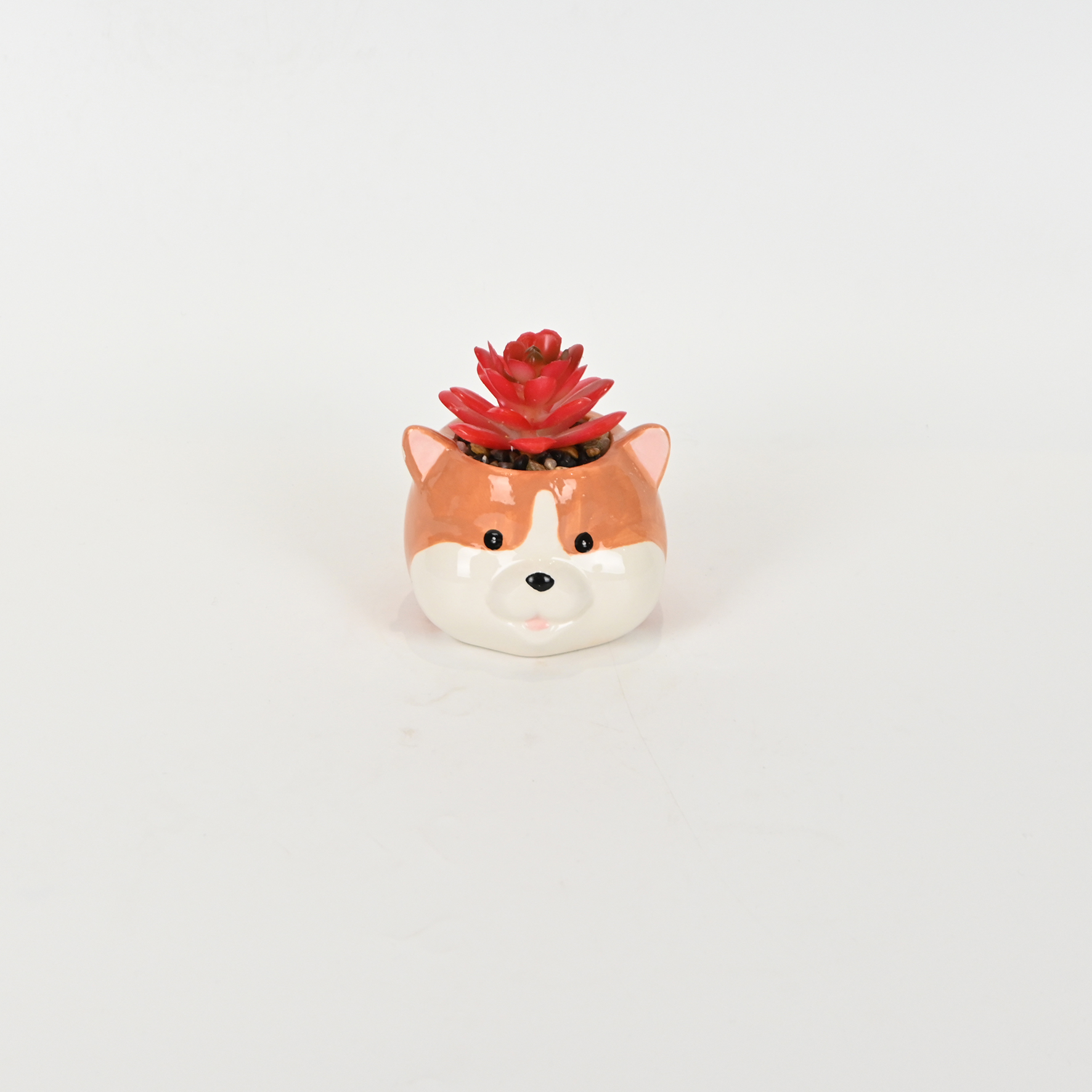 Corgi Succulent Ornament