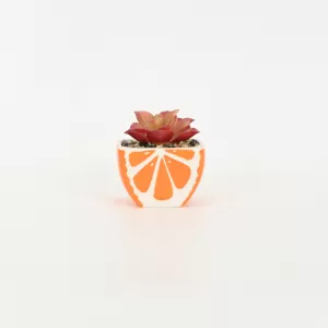 Orange Succulent Ornament