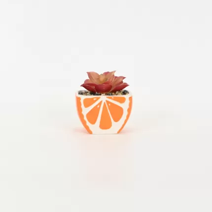 Orange Succulent Ornament