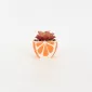 Orange Succulent Ornament