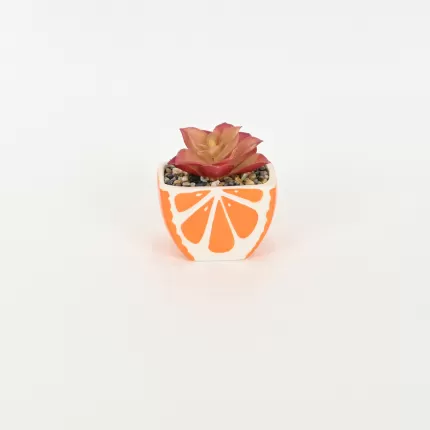 Orange Succulent Ornament