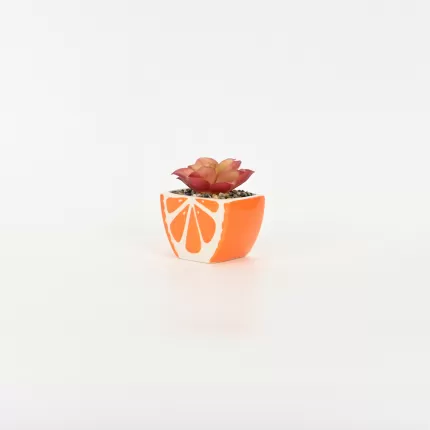 Orange Succulent Ornament