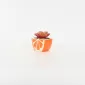 Orange Succulent Ornament