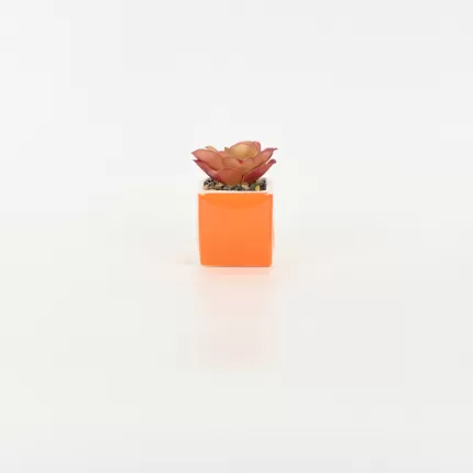 Orange Succulent Ornament