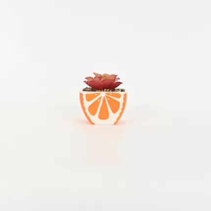 Orange Succulent Ornament
