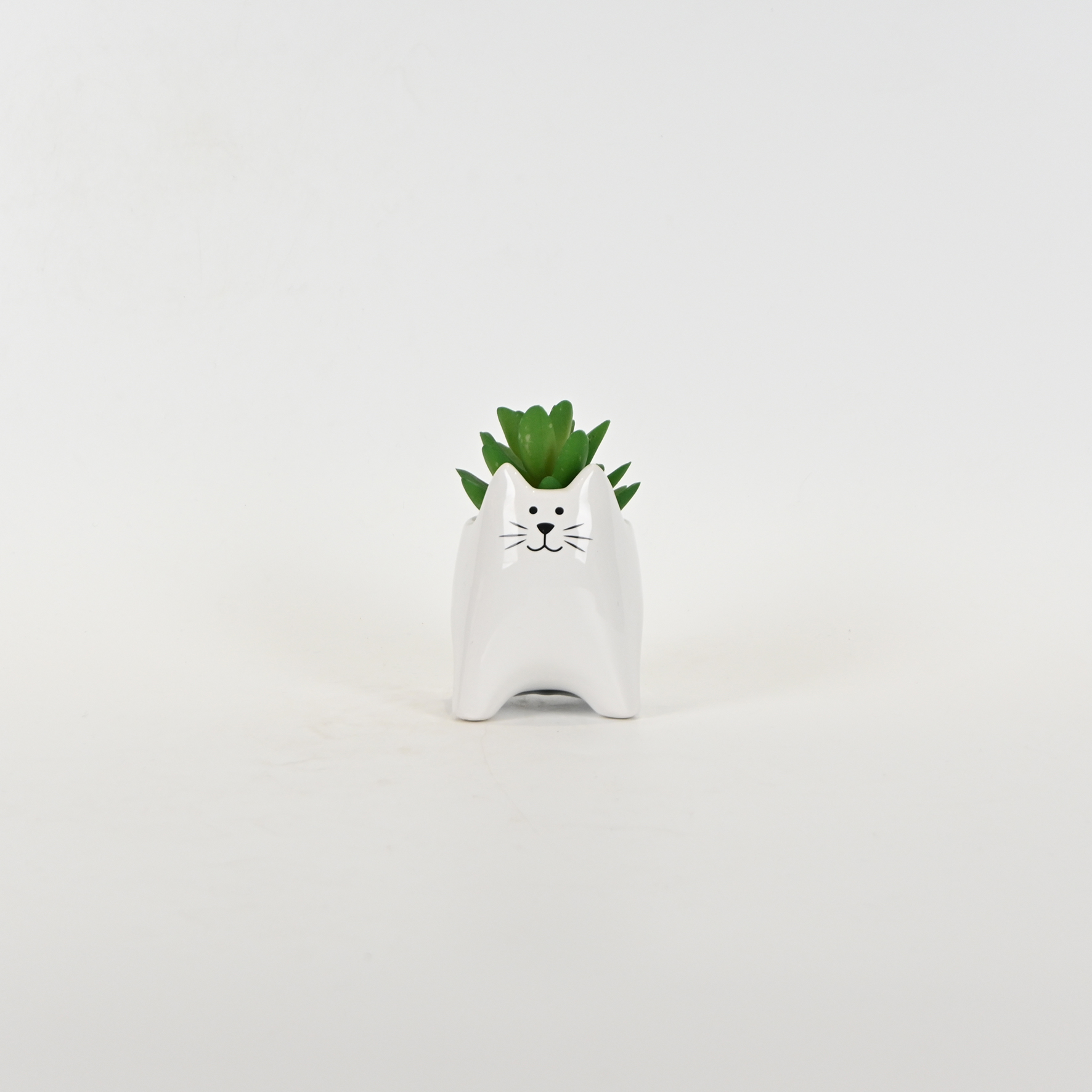 Little Cat Succulent Ornament-white
