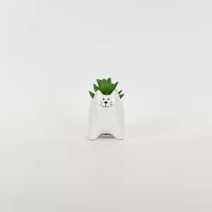 Little Cat Succulent Ornament-white