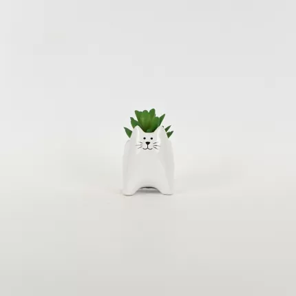 Little Cat Succulent Ornament-white