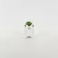 Little Cat Succulent Ornament-white