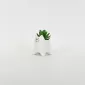 Little Cat Succulent Ornament-white