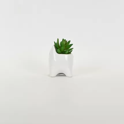 Little Cat Succulent Ornament-white