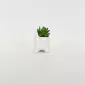 Little Cat Succulent Ornament-white