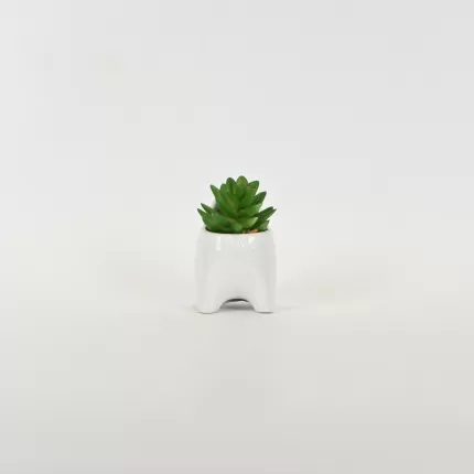 Little Cat Succulent Ornament-white