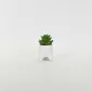 Little Cat Succulent Ornament-white
