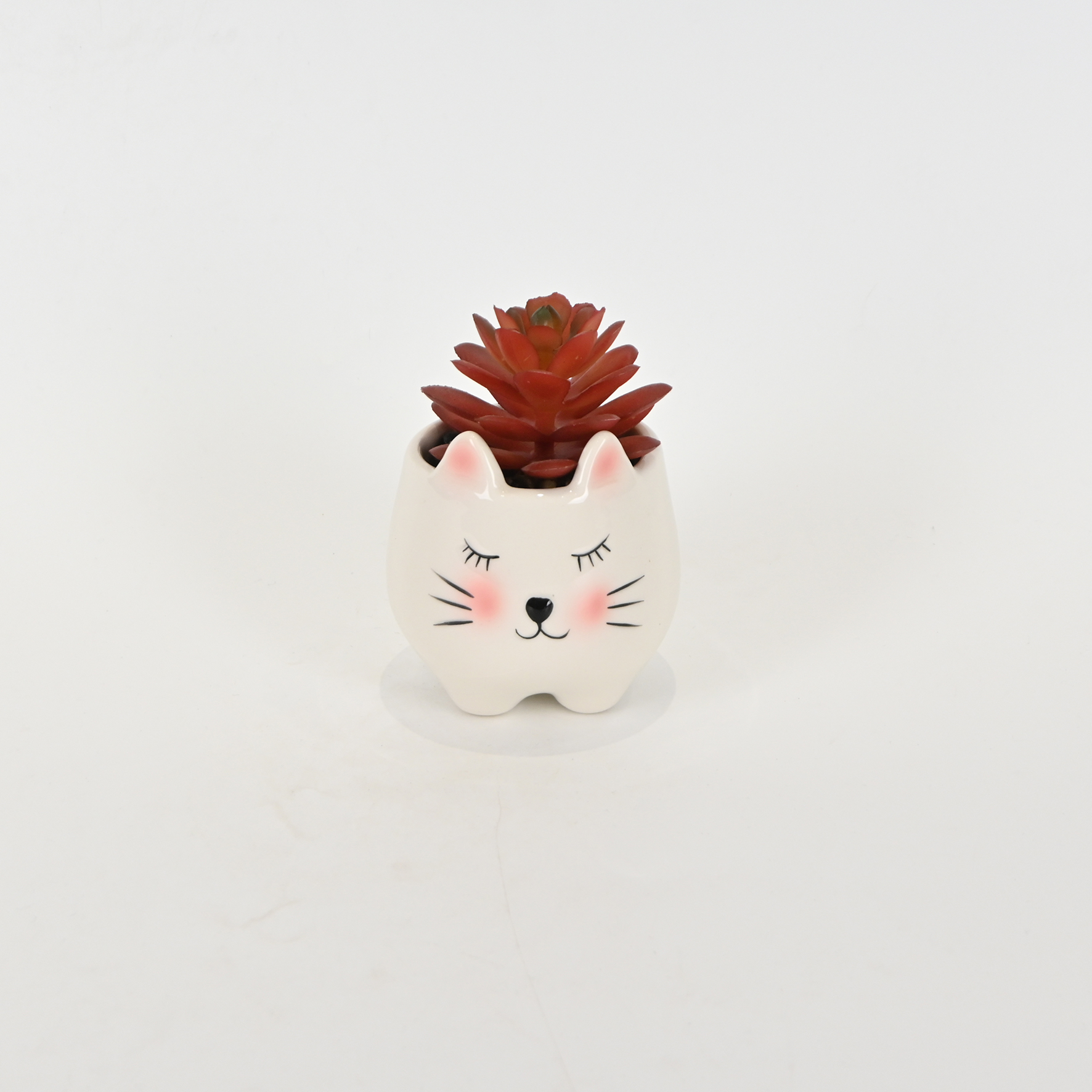 Little Cat Succulent Ornament-white