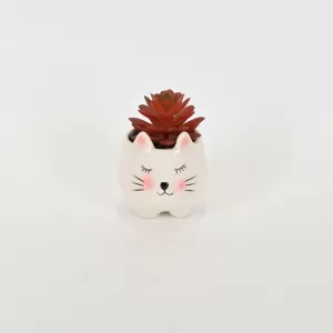 Little Cat Succulent Ornament-white