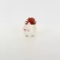 Little Cat Succulent Ornament-white
