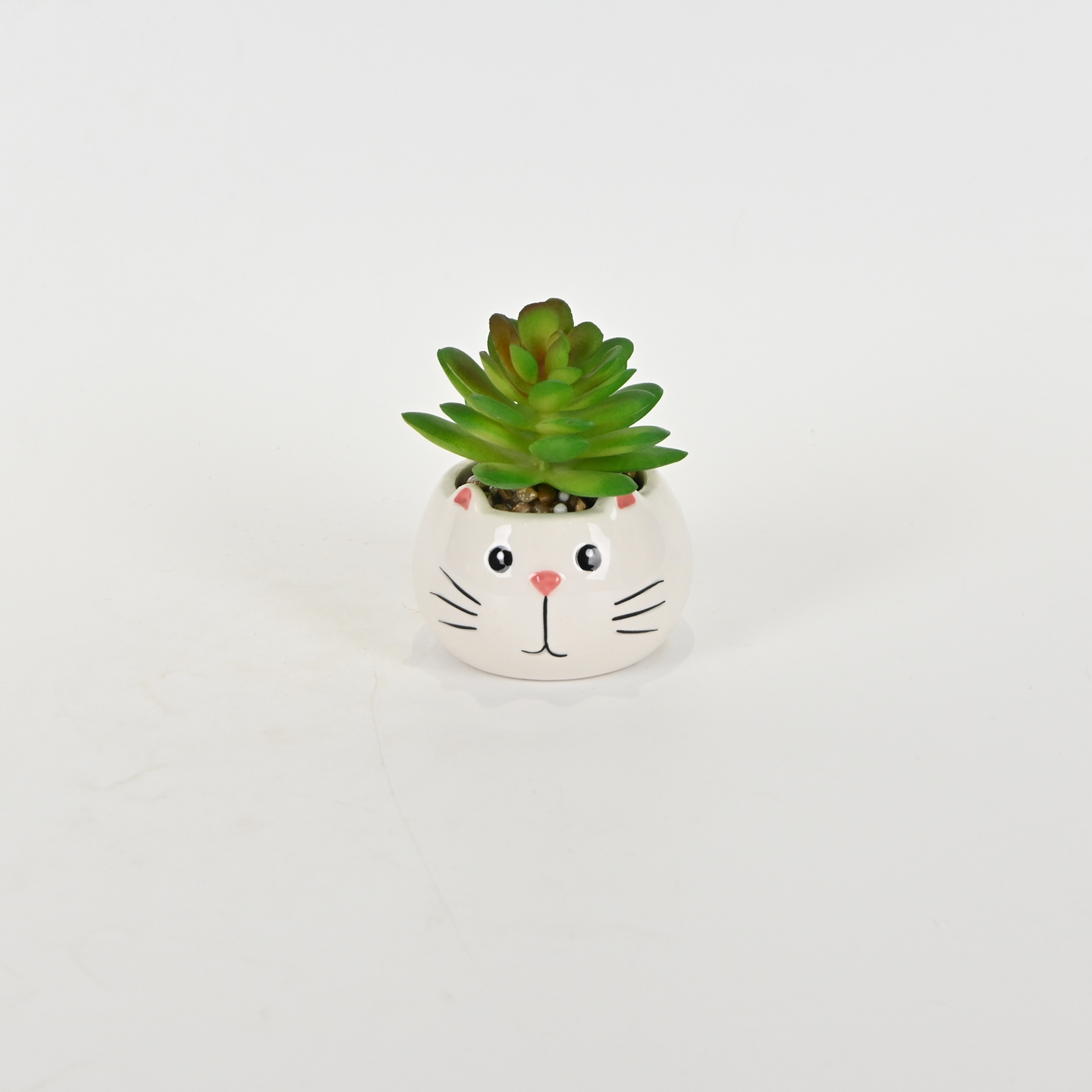 Little Cat Succulent Ornament-white