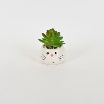 Little Cat Succulent Ornament-white