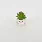 Little Cat Succulent Ornament-white