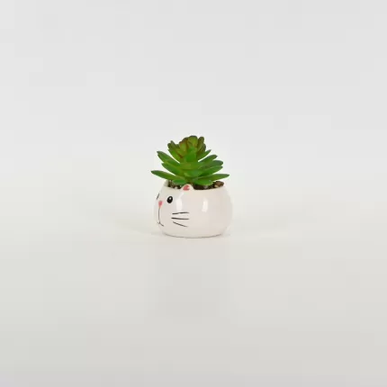 Little Cat Succulent Ornament-white