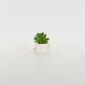Little Cat Succulent Ornament-white