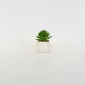 Little Cat Succulent Ornament-white