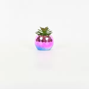 Colorful Succulent Ornament
