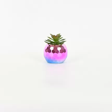 Colorful Succulent Ornament