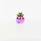 Colorful Succulent Ornament