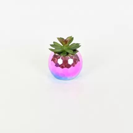 Colorful Succulent Ornament