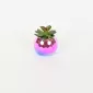 Colorful Succulent Ornament
